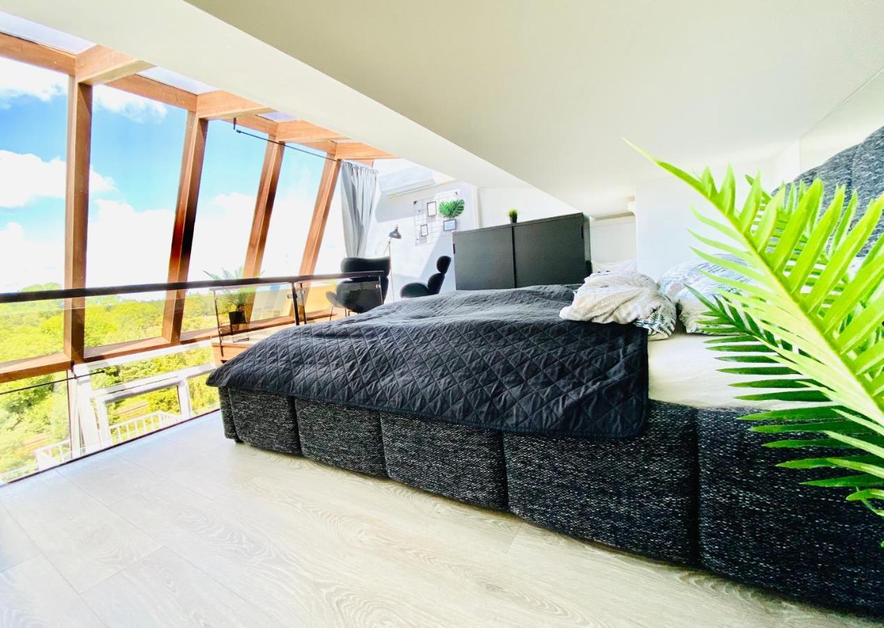 Sea & Sunset View Apartment In Palanga Exteriér fotografie